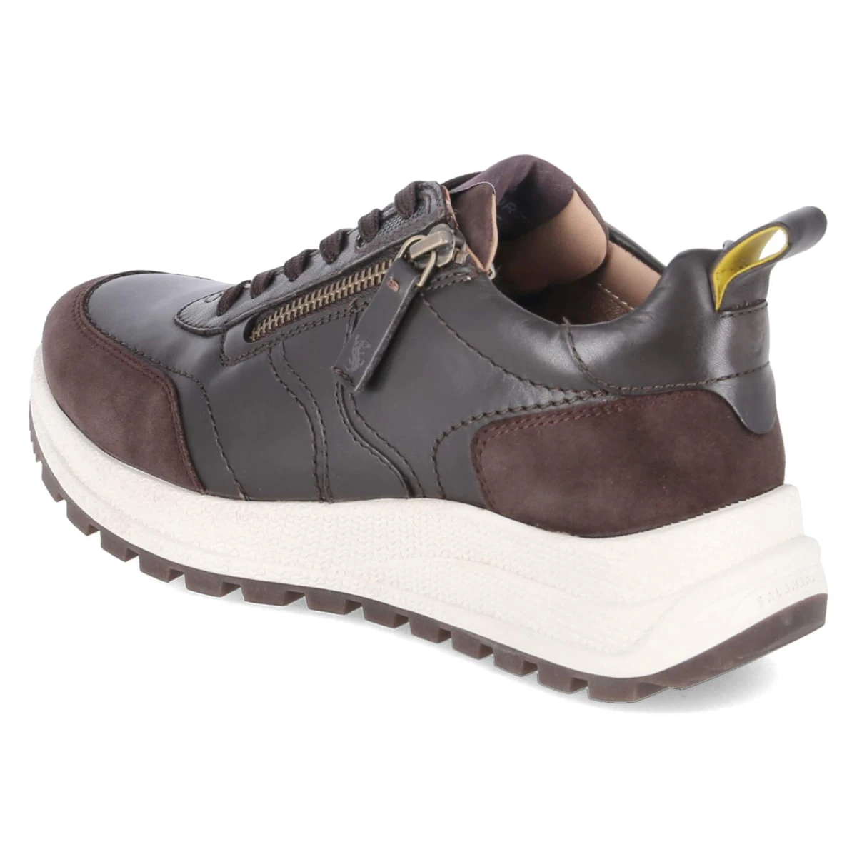 SalamanderLow Sneaker - dark brown / brown