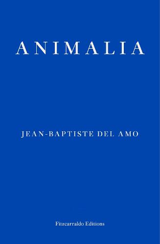 Animalia (Paperback)