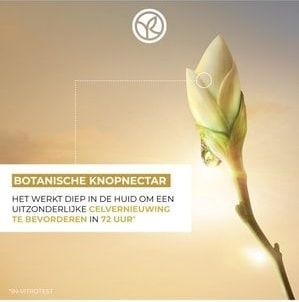 Yves Rocher - Anti-Âge Global - Oogcrème - 15 ml