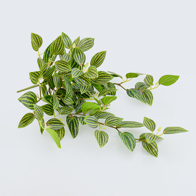 Branche de tradescantia zebrina vert