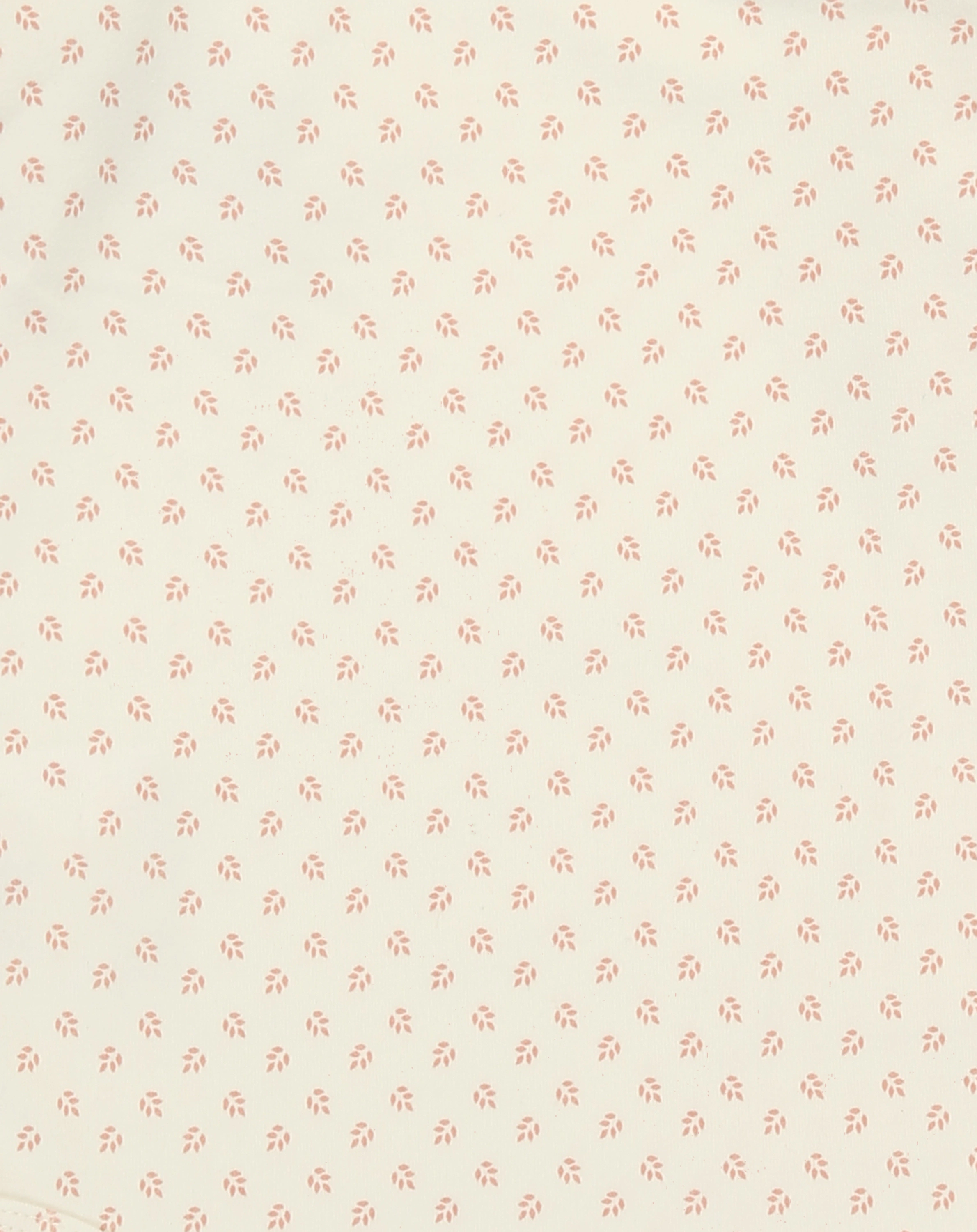 Langarm-Body BLUE ESS 3er Pack dusty rose