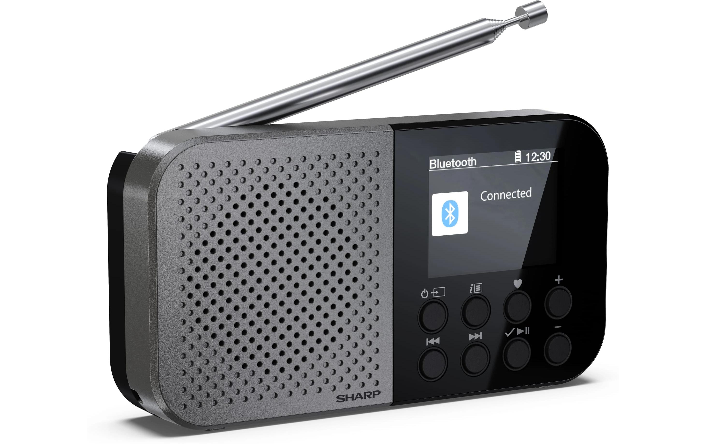 DAB+ Radio DR-P520 GrauTragbares DAB+ Handradio mit RDS