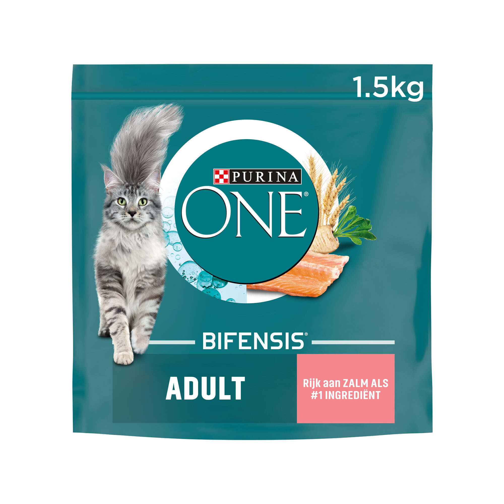 Purina ONE Adult - Zalm