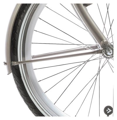 Alpina Fender stay set 26 Clubb or avec mat