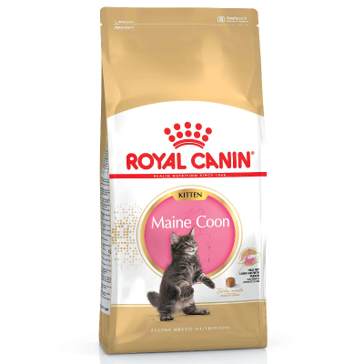 Royal Canin Kitten Maine Coon