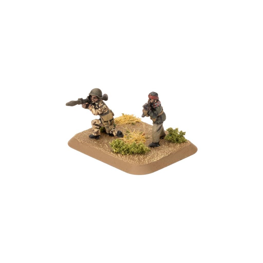 Team Yankee - Basij Infantry Company