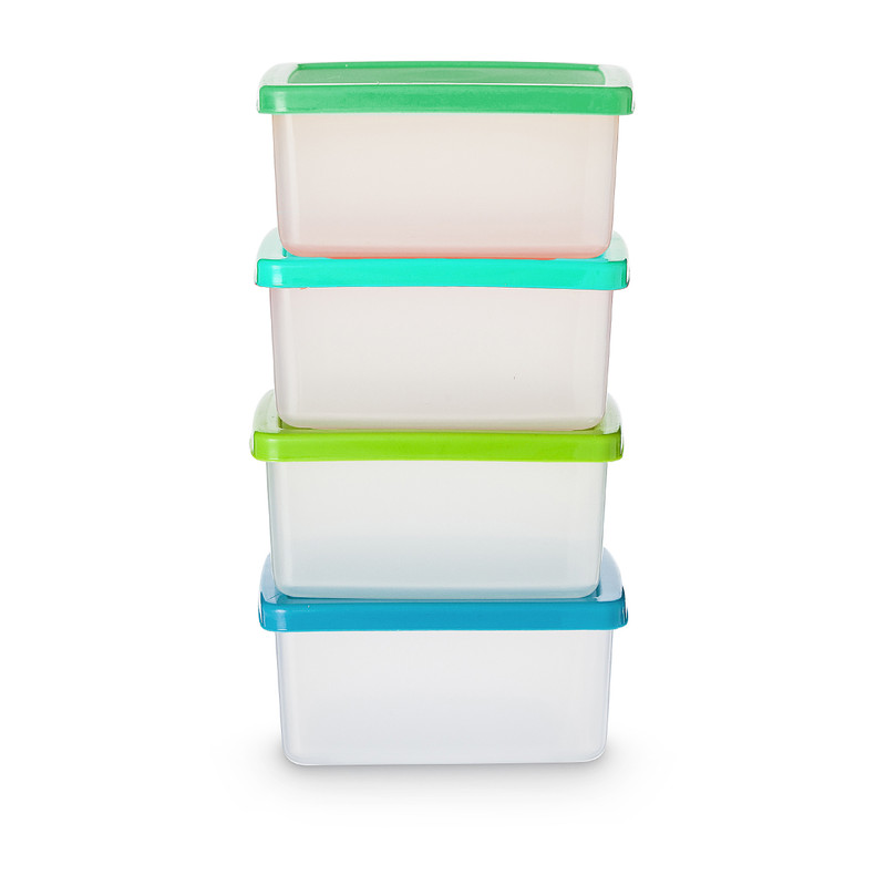 Vershoudbakjes van plastic - 1 liter - set van 4