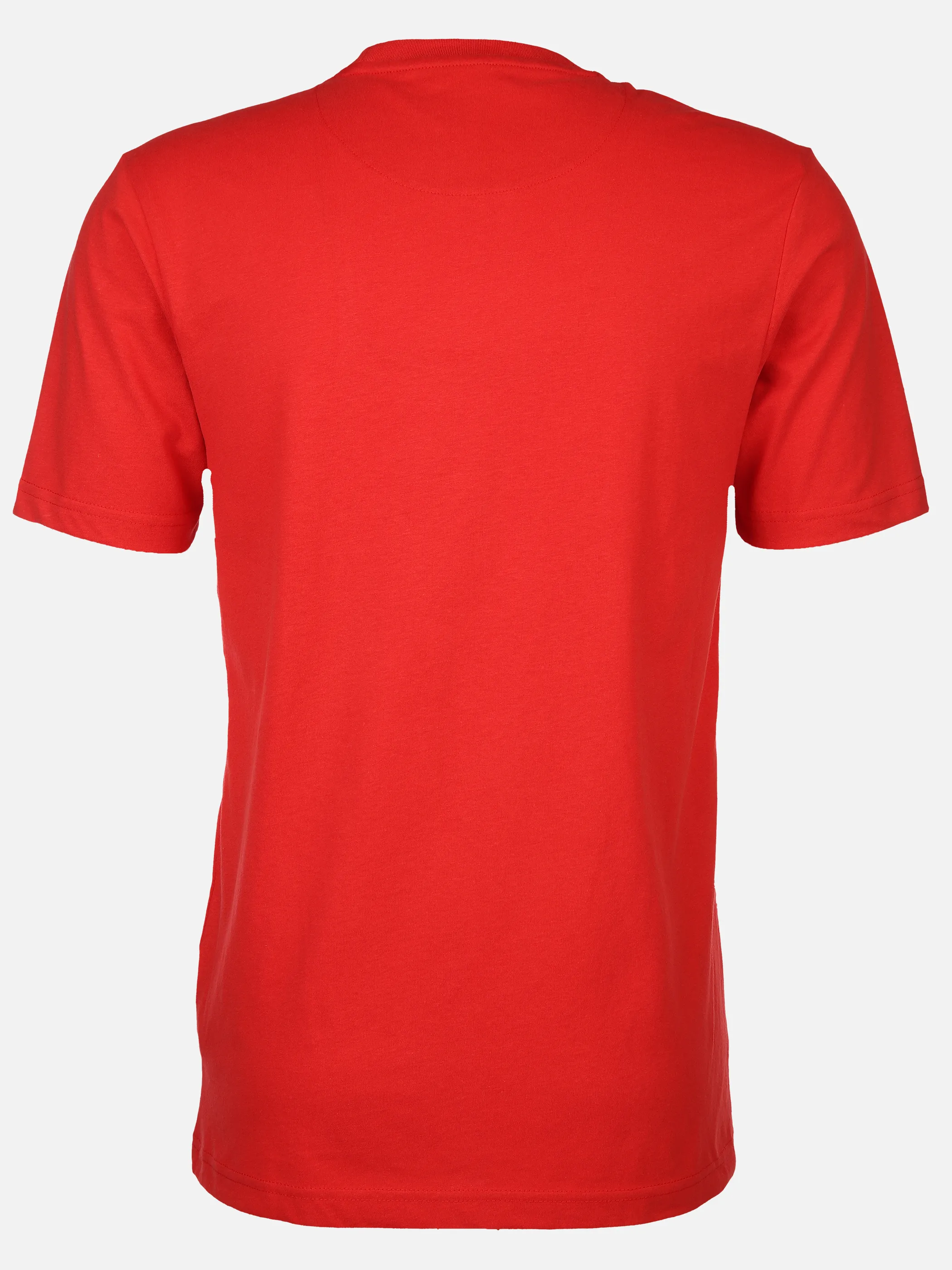 Herren T-Shirt mit Print
