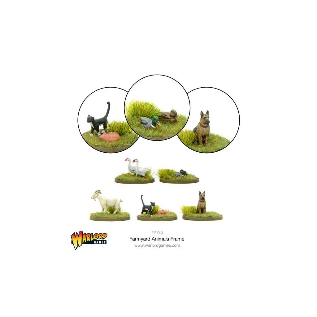 Farmyard Animals