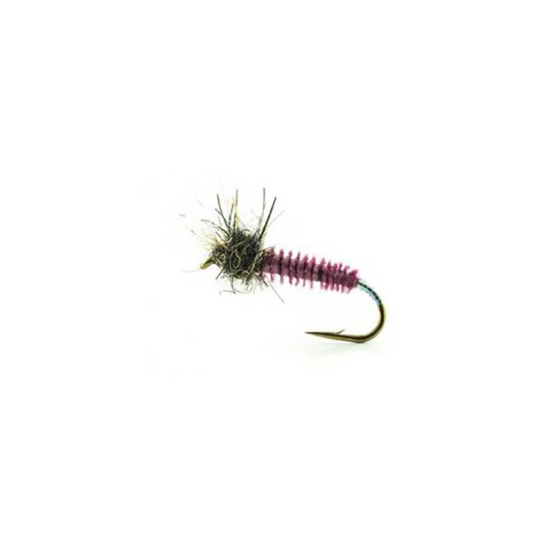 Mouche Devaux Chiro Jbc09