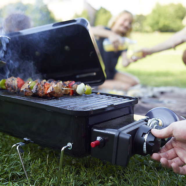Barbecue à gaz Weber Go-Anywhere black gaz