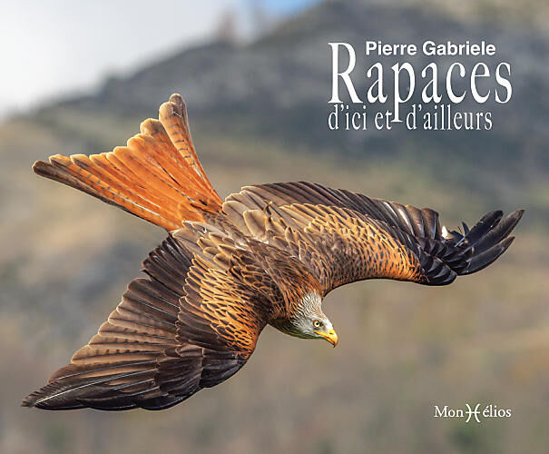 MONHELIOS - RAPACES