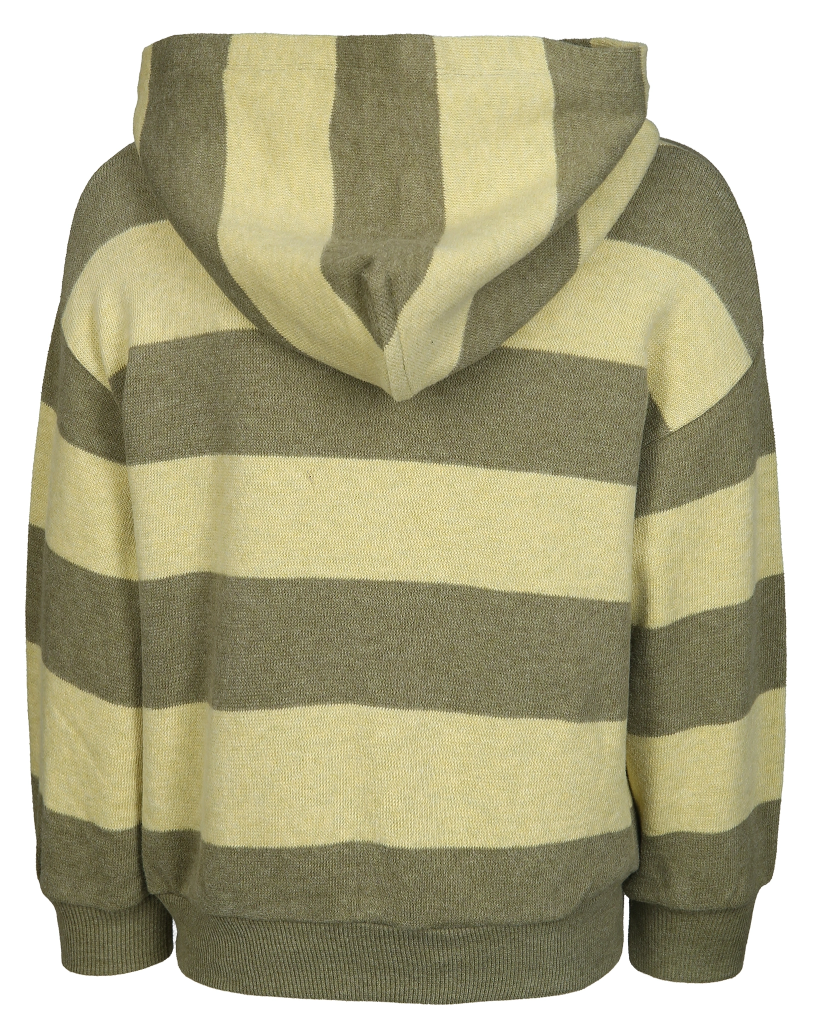 Kapuzen-Sweatshirt BERGAMOT STRIPED in grün