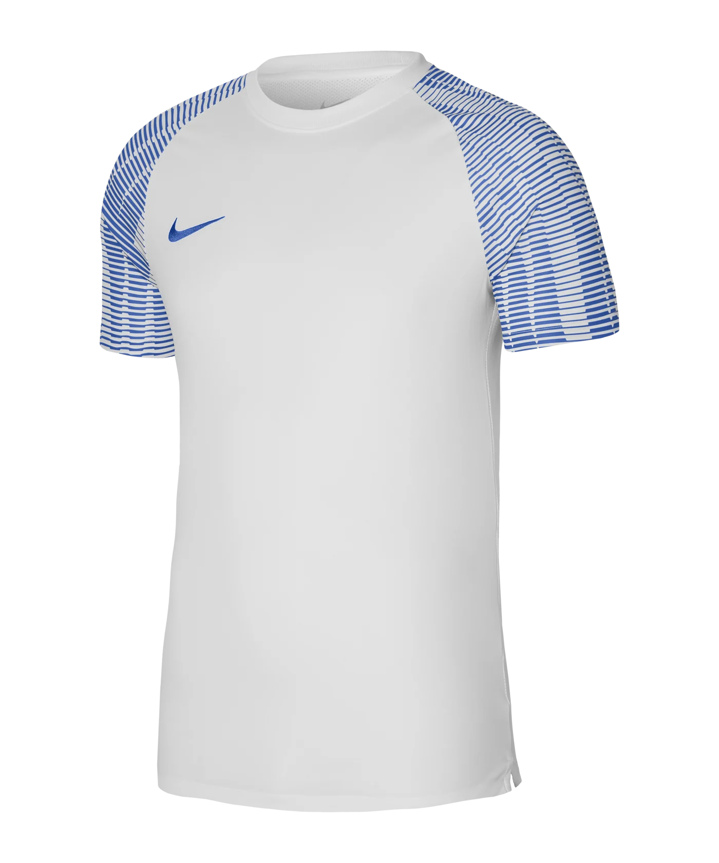 Nike Academy Trikot Weiss Blau F102