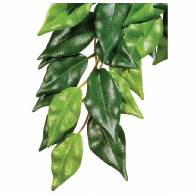 Plante Ficus pour terrarium Exo Terra 70 cm