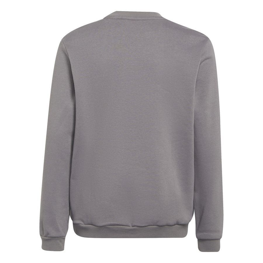 adidas Sweat Entrada 22 - Gris Enfant