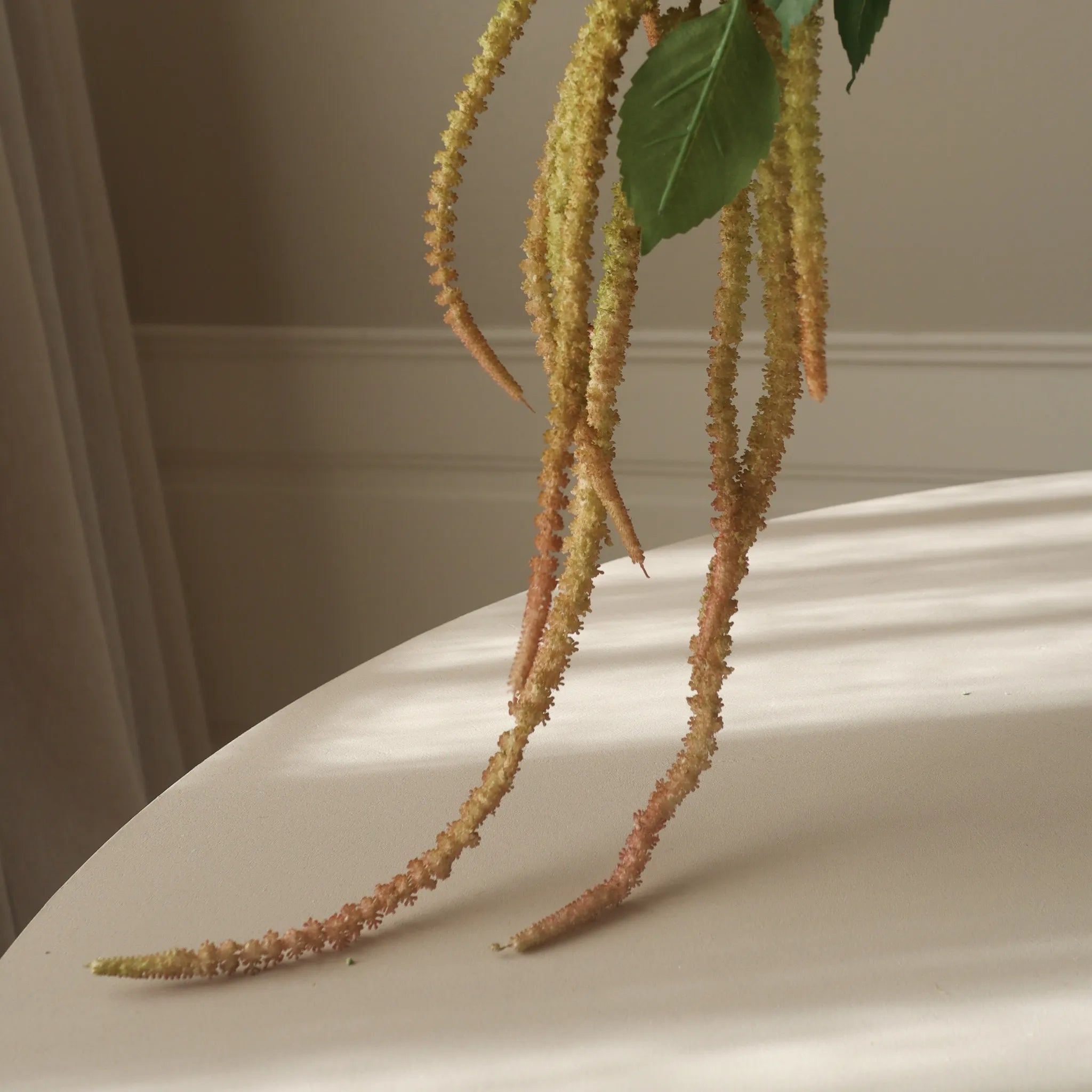Botané  Three Forks Amaranthus blomst - lysegrøn