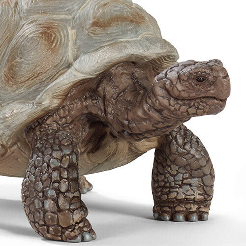Schleich wild life reuzenschildpad - 8 cm
