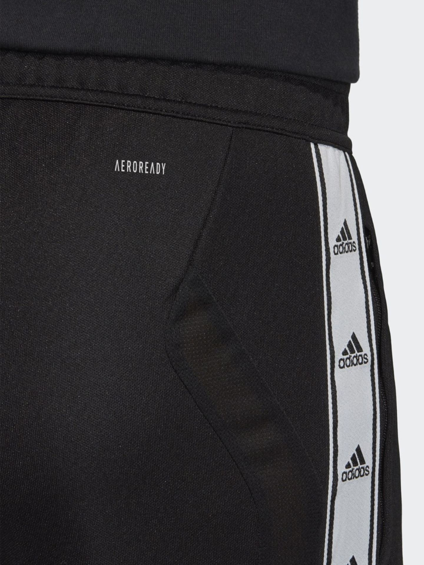 Tiro 19 Pant Tapered Logo