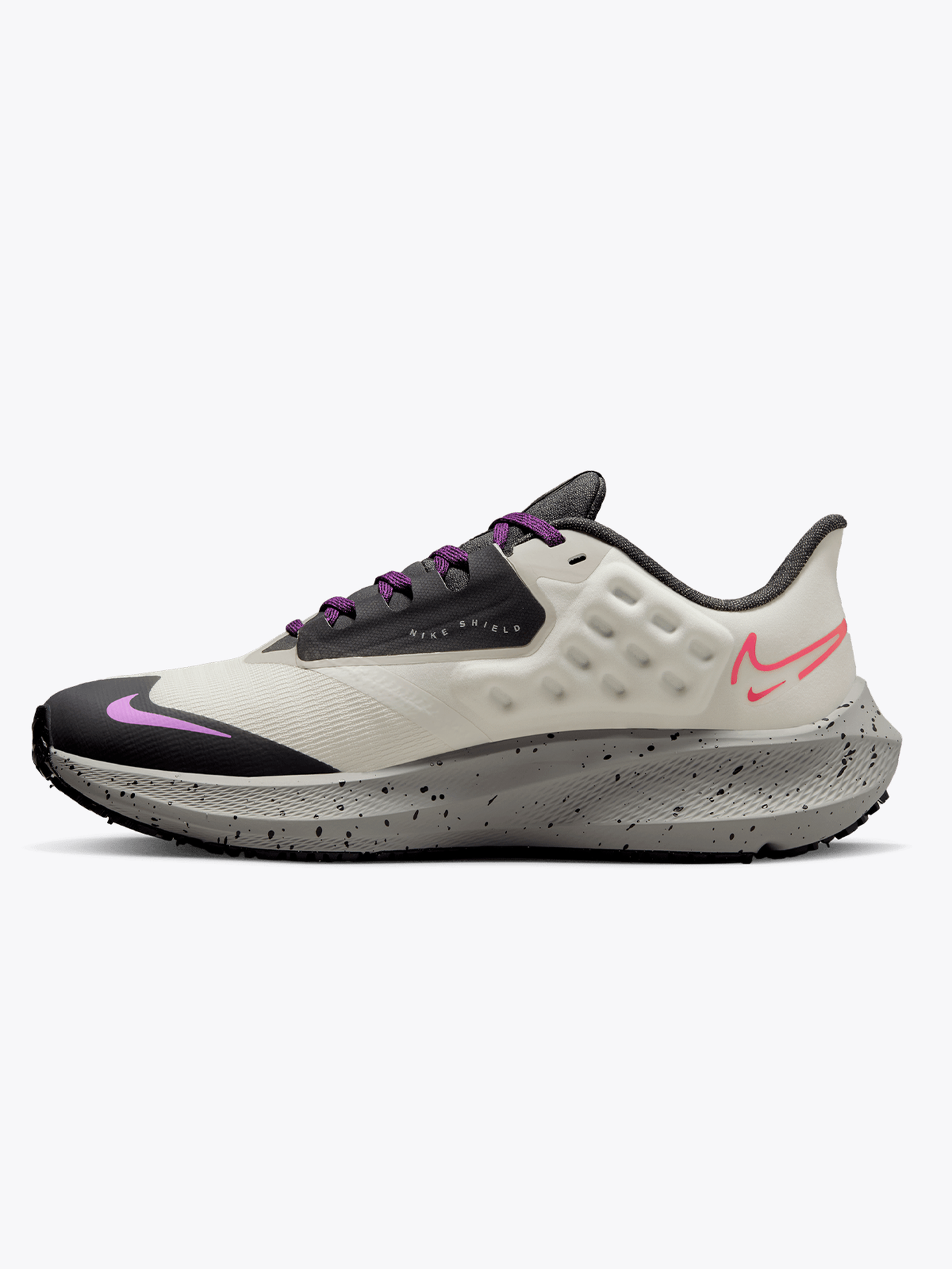 Air Zoom Pegasus 39 Shield