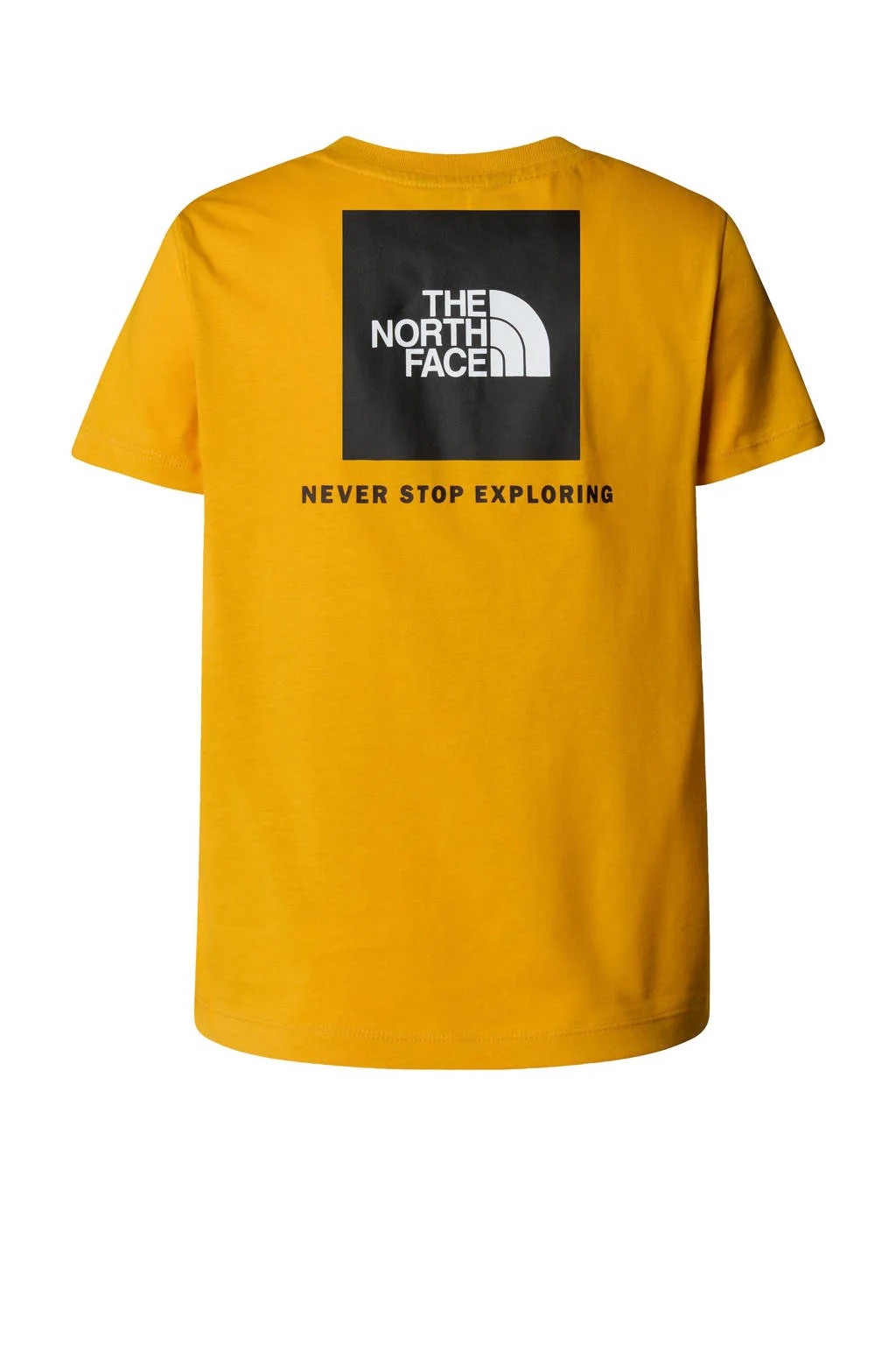 The North Face T-shirt Box NSE geel