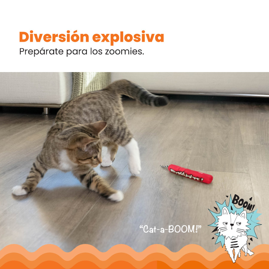 Gatos de pelúcia vermelhos da Outward Hound Catstages Green Magic Dynamite