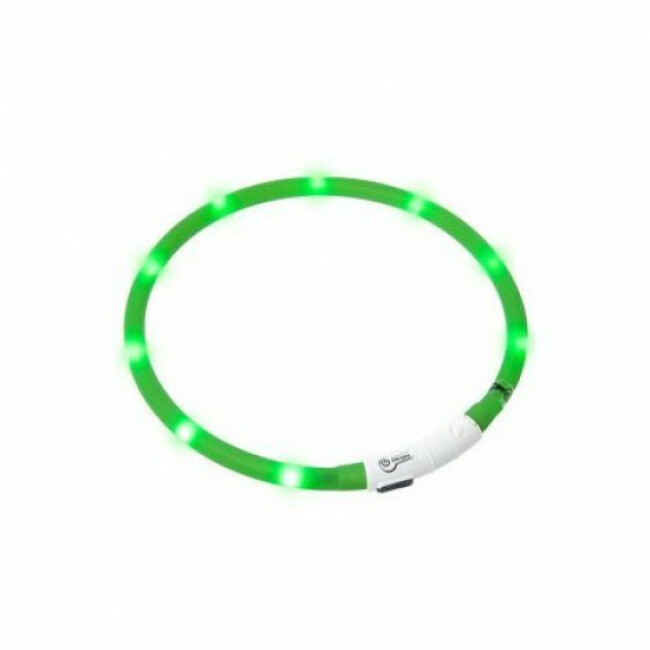 Collier lumineux Visio Light à LED pour chien