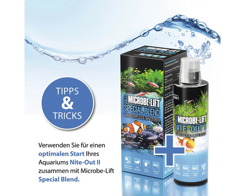 Starterbacteriën ARKA Microbe-Lift Nite-Out II 473 ml