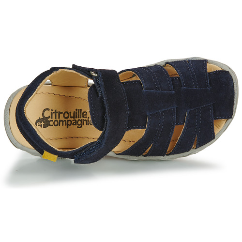 Citrouille et Compagnie - FILOLE - Marine
