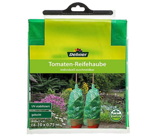 Dehner Tomaten-Reifehaube, grün, ca.