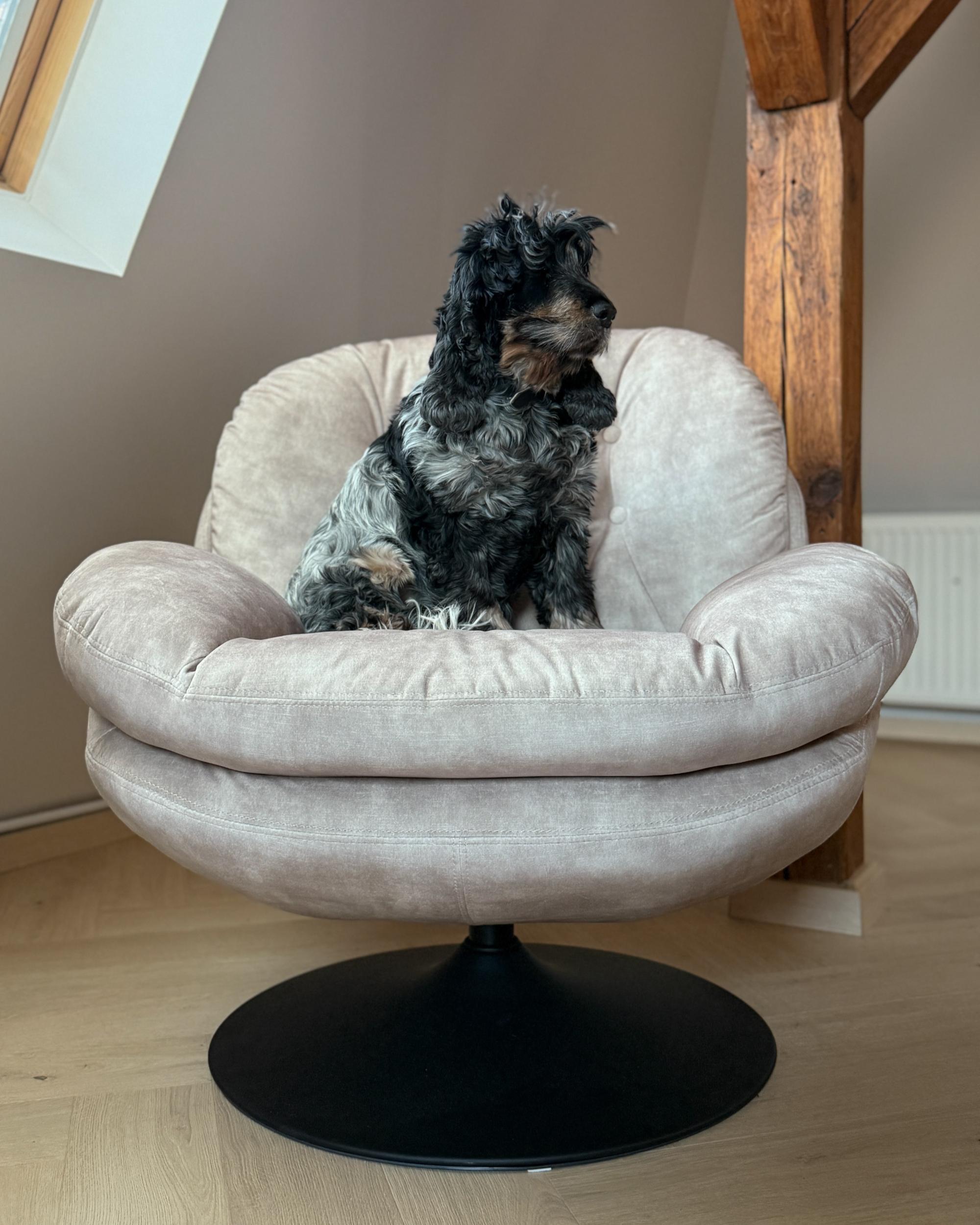 Draaifauteuil NOLVIK Fluweel Lichtbeige