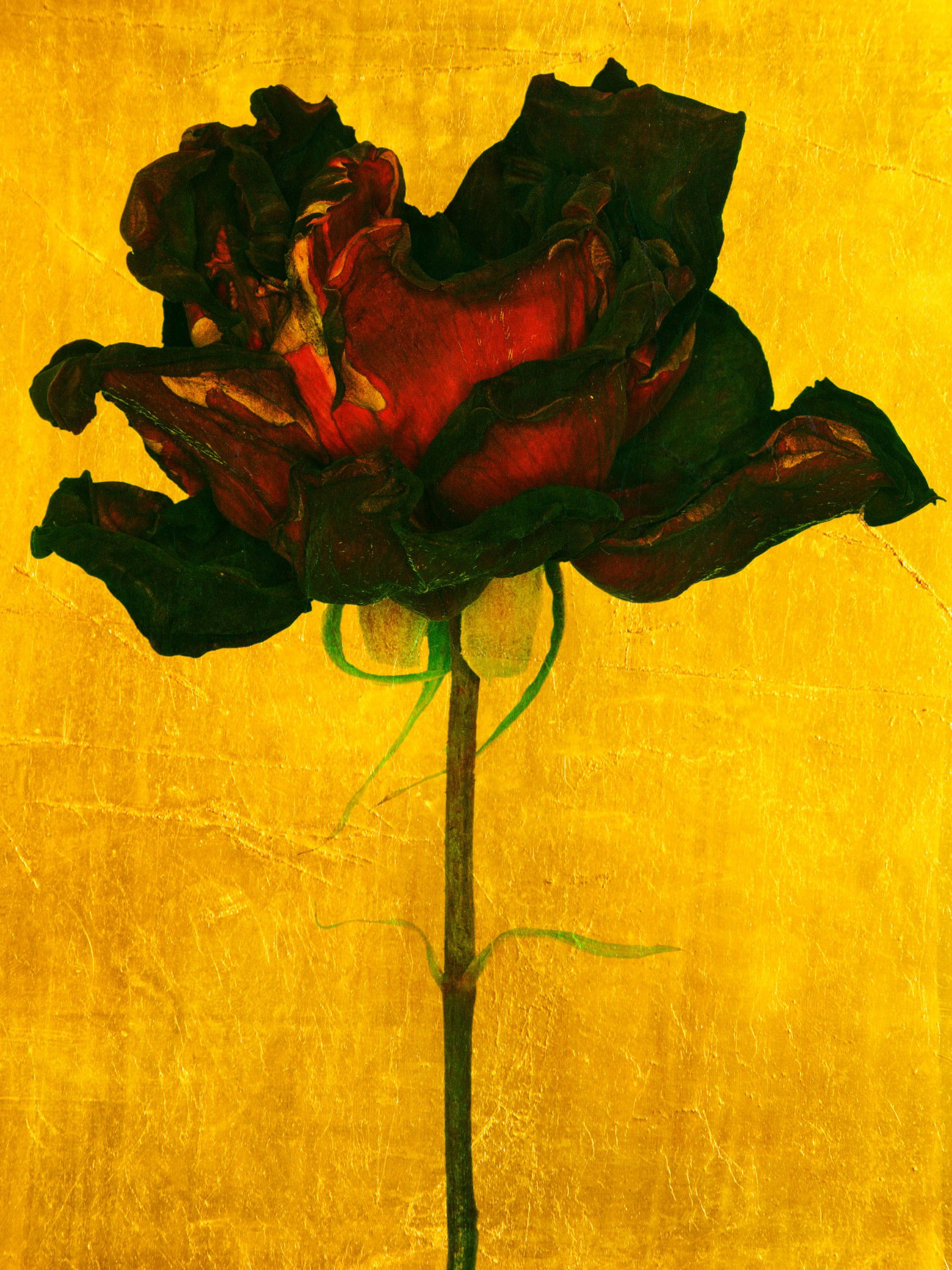 Aurum II by Michael Wissing - Limited Edition. Edition of: 100. Signed.