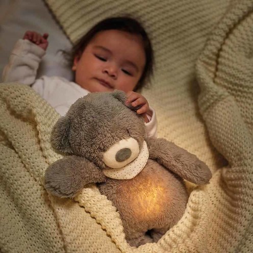 Sleepy veilleuse peluche ours Gris - NATTOU