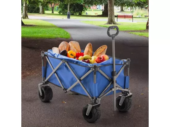 Chariot pliant à 4 roues capacité 100kg plage et jardin CARTO