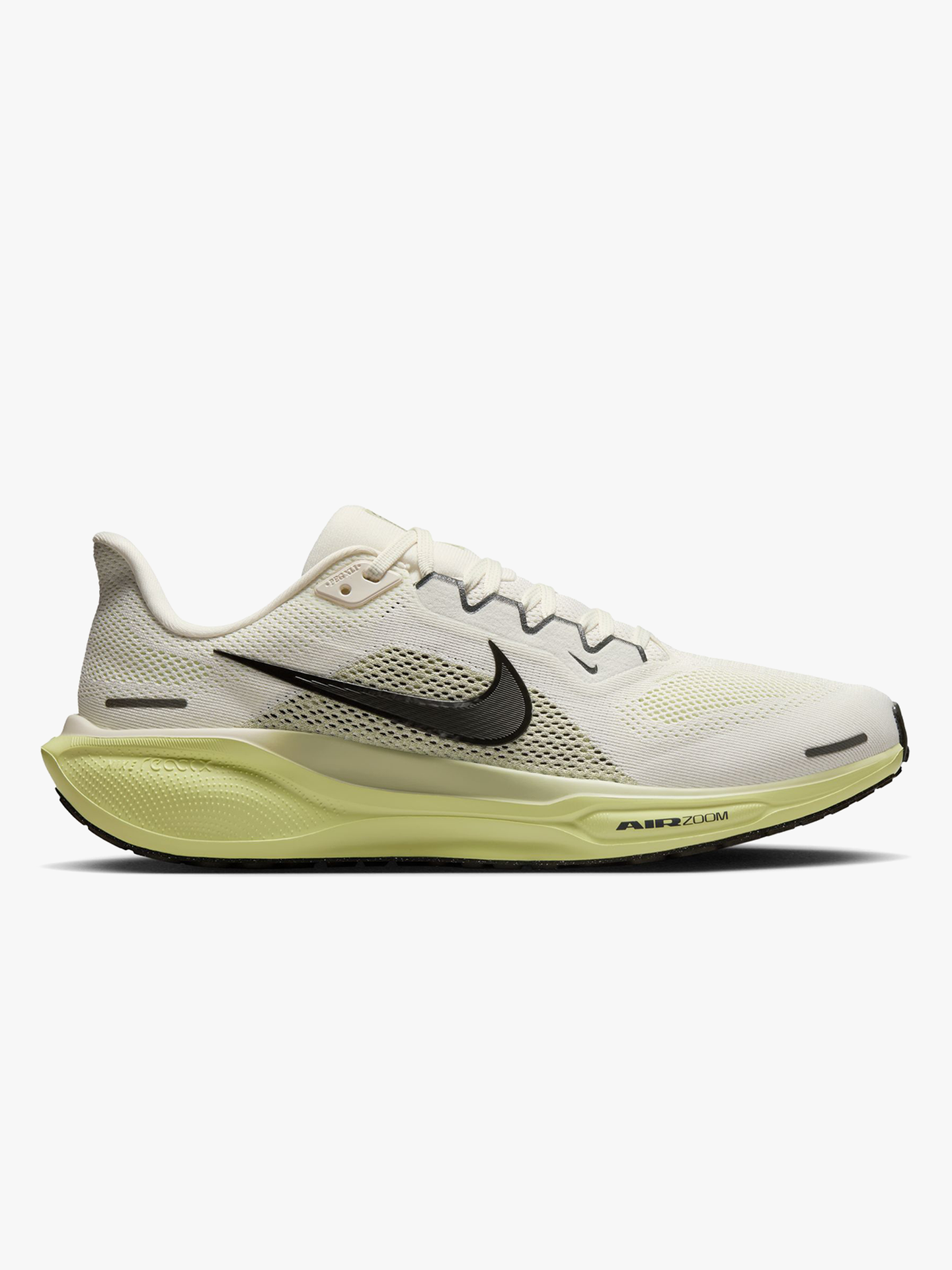 Pegasus 41