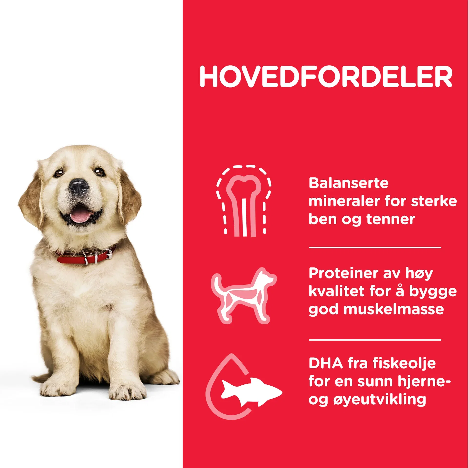 Hills Hill's Large breed Puppy 12 kg