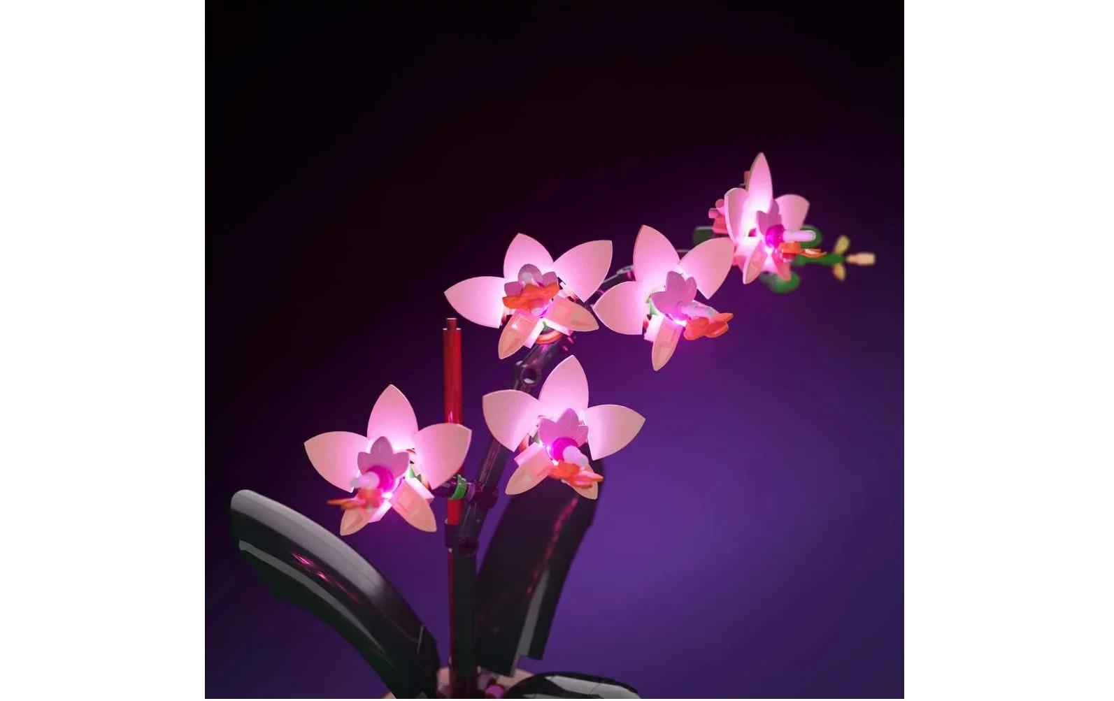 LED-Licht-Set für LEGO® Mini-Orchidee LMB 2.0 103716Licht-Set für Lego Mini-Orchidee 10343