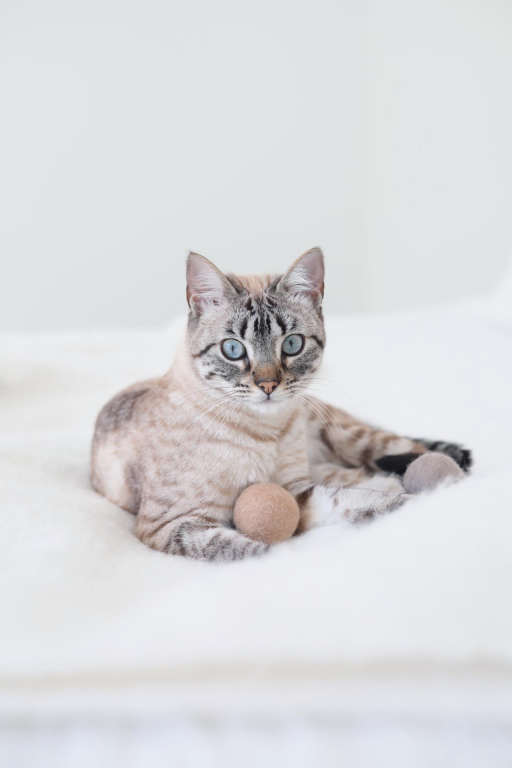 MiaCara Globo kattenspeelgoed sky