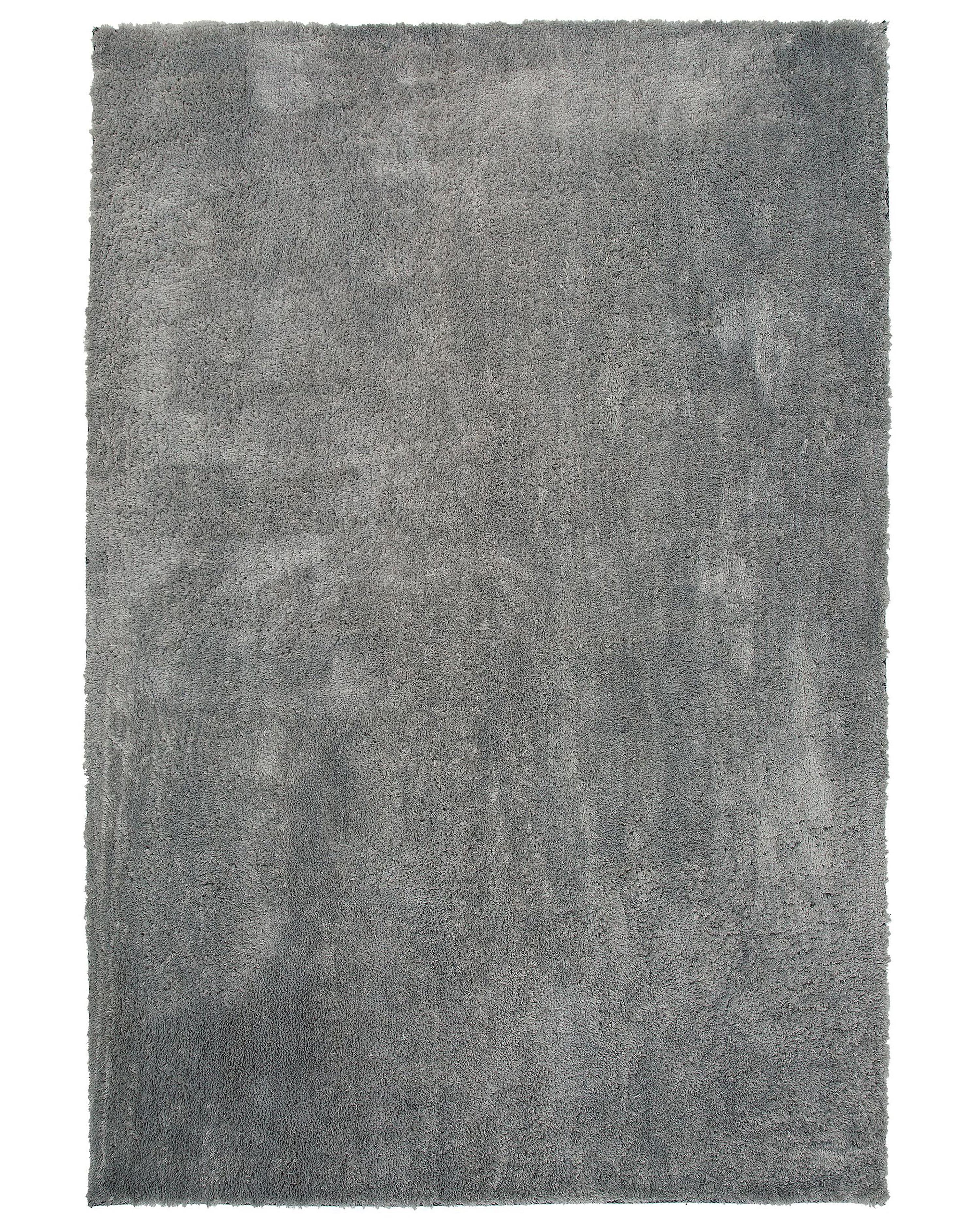 Hoogpoligvloerkleed EVREN Lichtgrijs 200 x 300 cm