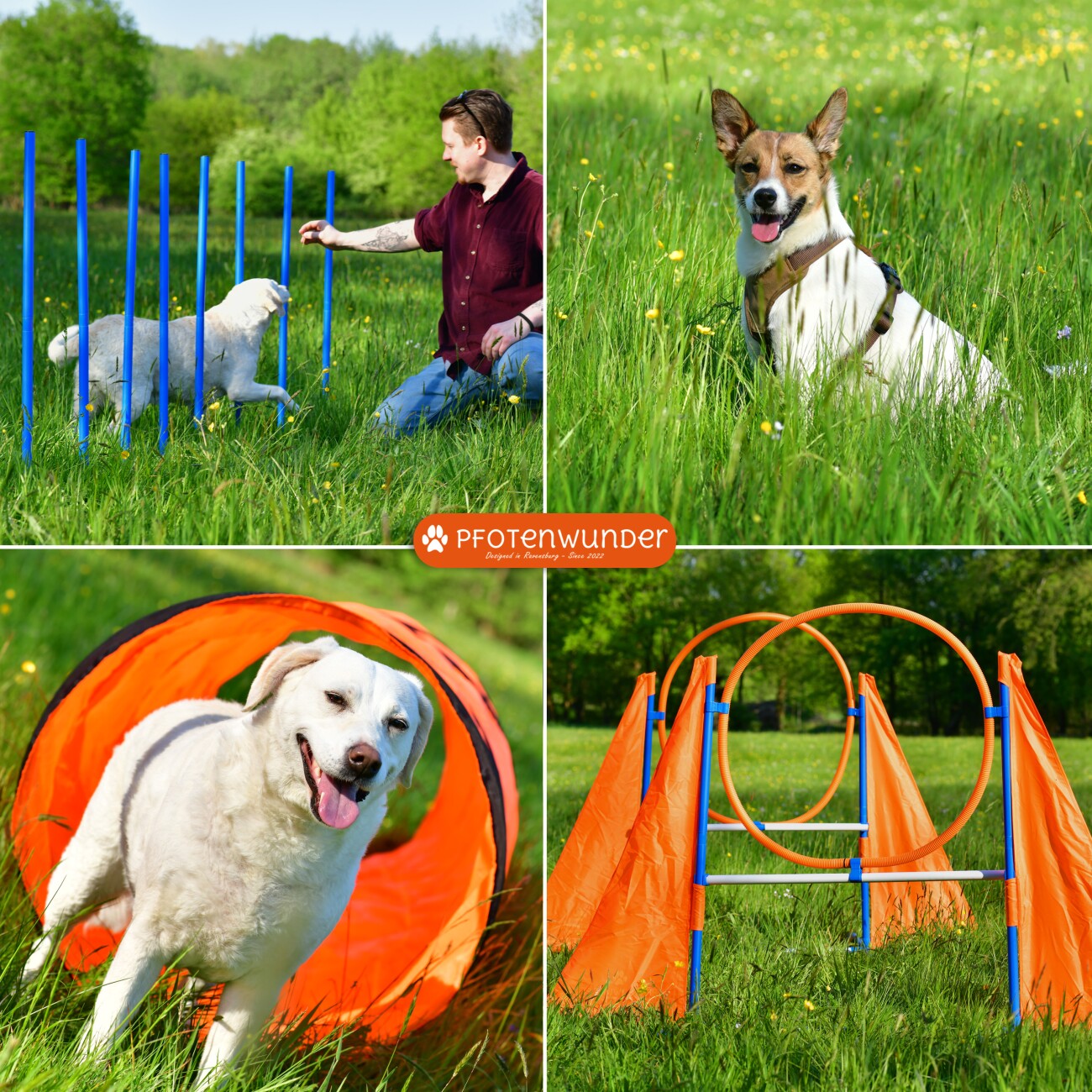 PfotenWunder® XXL-Profi-Agility Set Hunde Groß + 3 M-Tunnel + 21 Min. HUNDESCHULE - 6 Slalomstangen, für kleine & große Hunde-Training Sport Cavaletti Parcour Steckhürdenset Zubehör Hürden