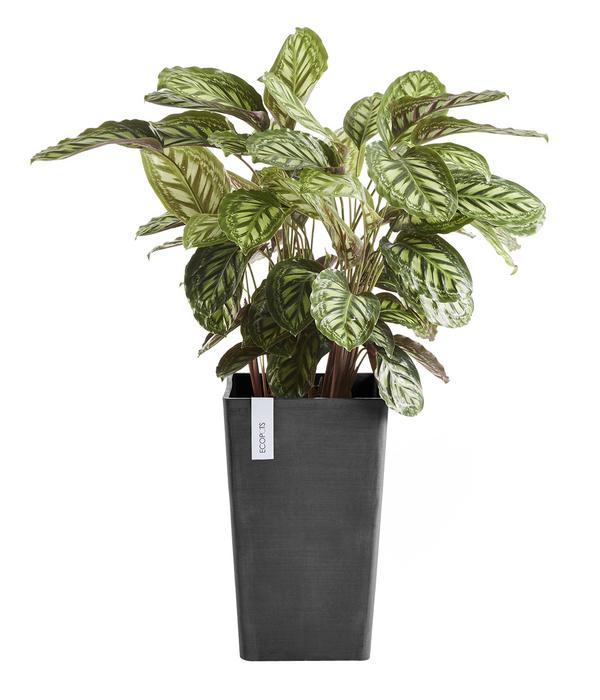 Ecopots Kunststoff-Topf Rotterdam Hoch,