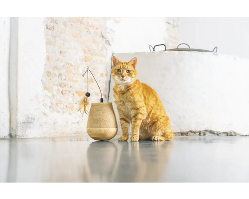Krabmeubel ontworpen door Lotte, kattenspeeltje Tumble Mae, 15 x 15 x 18 cm, sisal, hout