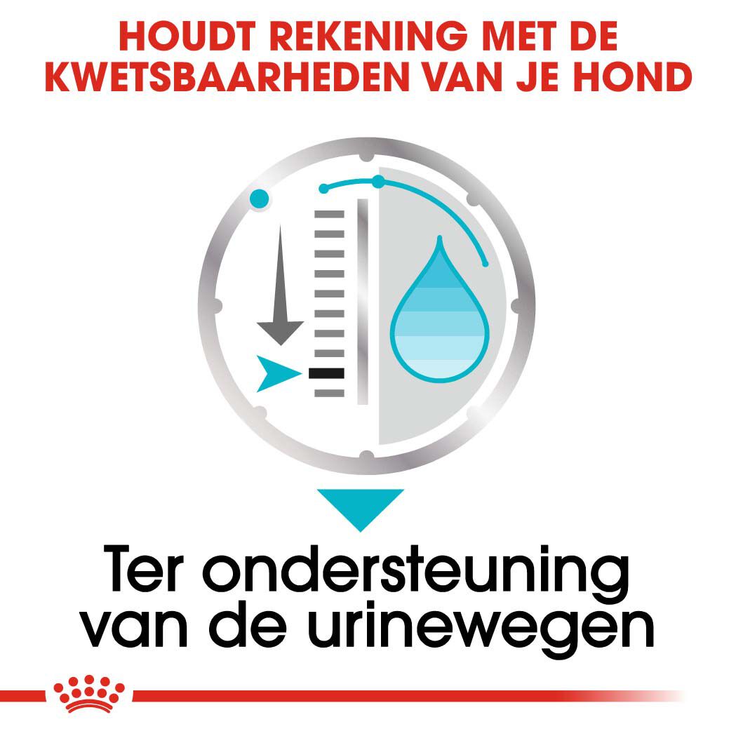 Royal Canin Urinary Care Wet - Hondenvoer - 1020 Gram - gevogelte