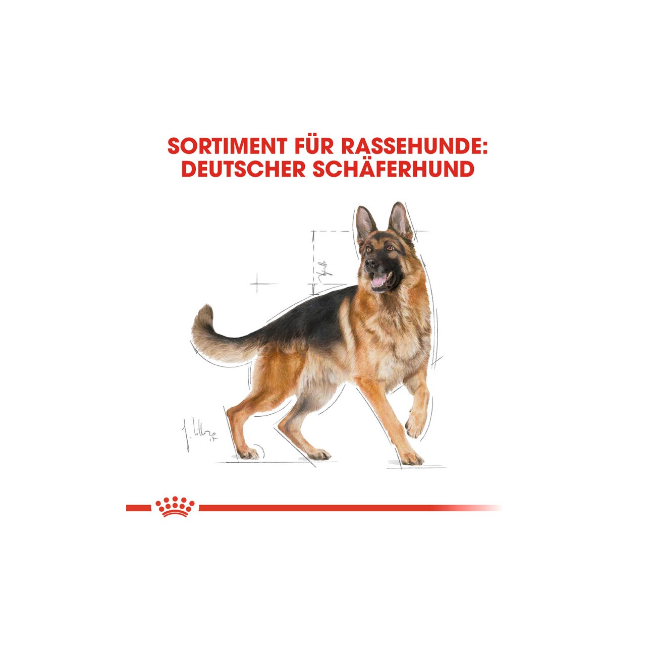 ROYAL CANIN Deutscher Schäferhund Adult 11 kg