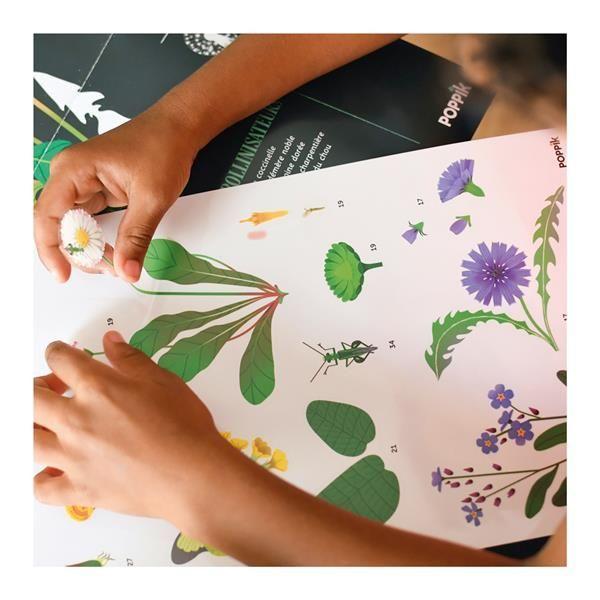 POPPIK Sticker Lernposter Botanik