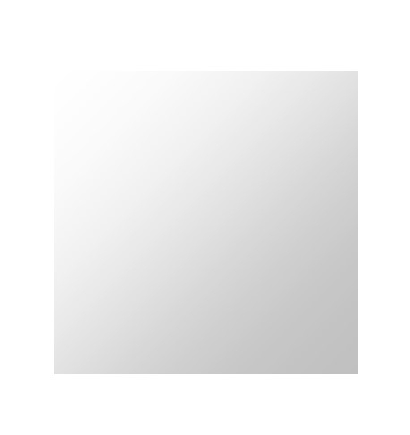 Plieger Basic spiegel eclipse 60x60cm