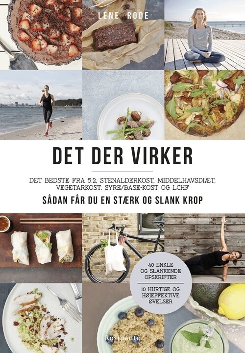 Det Der Virker - Lene Rode - Bog