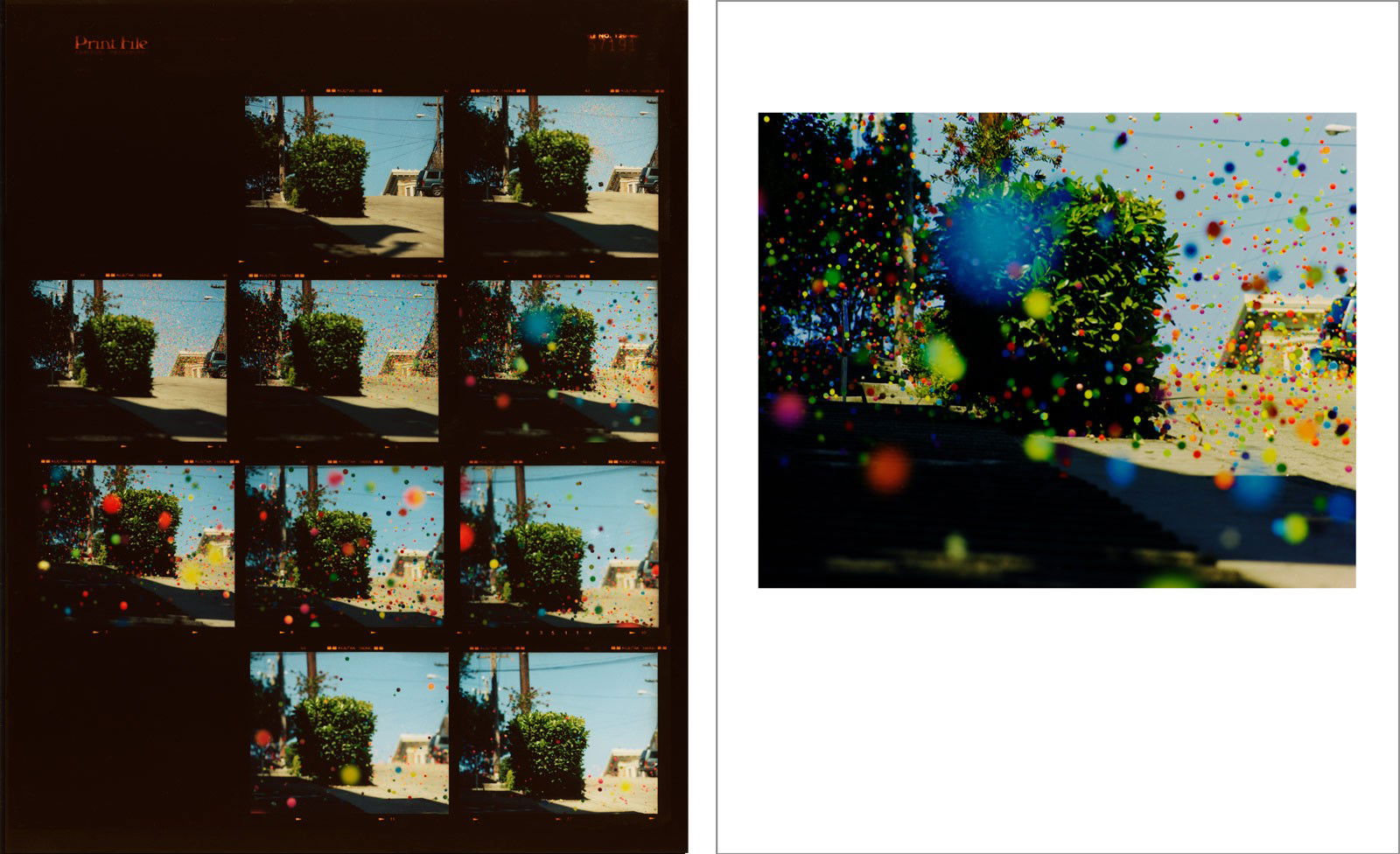Contact Sheet 01 by Peter Funch - Limited Edition. Edition of: 150. Signed.