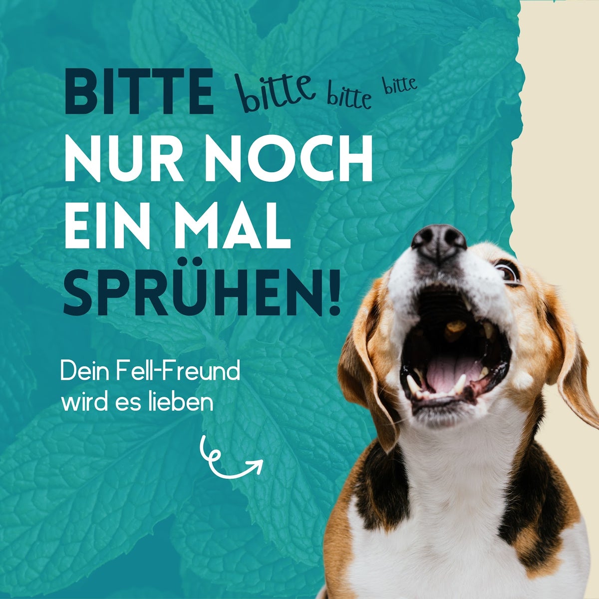 nimo® Dental Care Spray • Tandspray voor honden, katten en huisdieren met munt