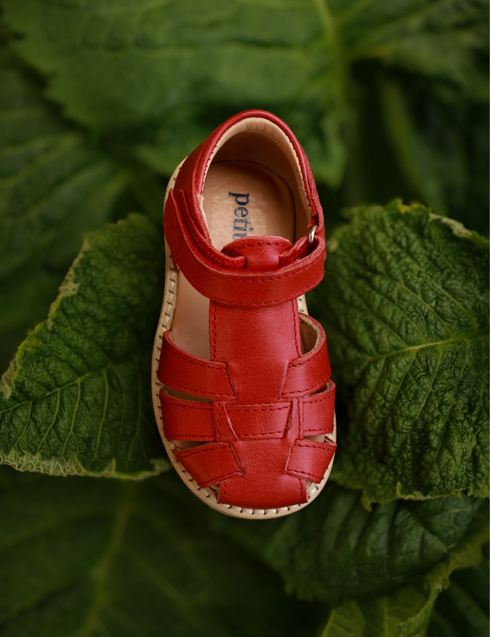 Classic Sandal - Poppy